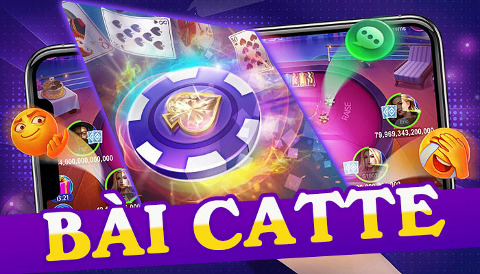 Playing Catte online