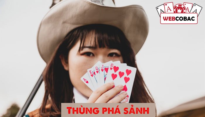 Straight Flush in Binh Xập Xám