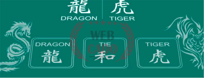 tips for playing dragon tiger easily to win