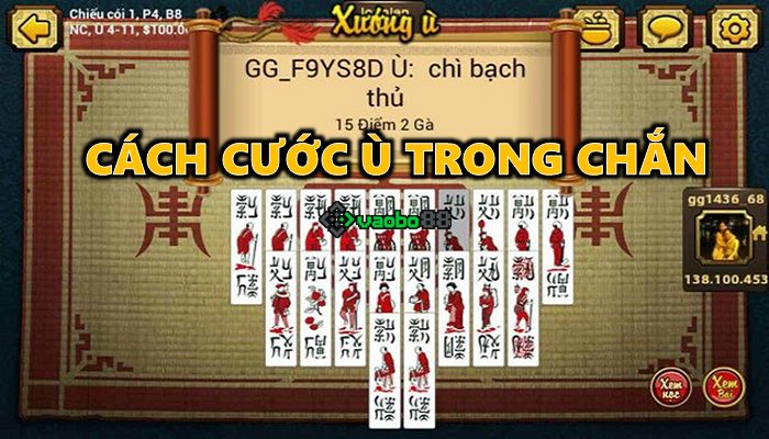 Chắn Odds