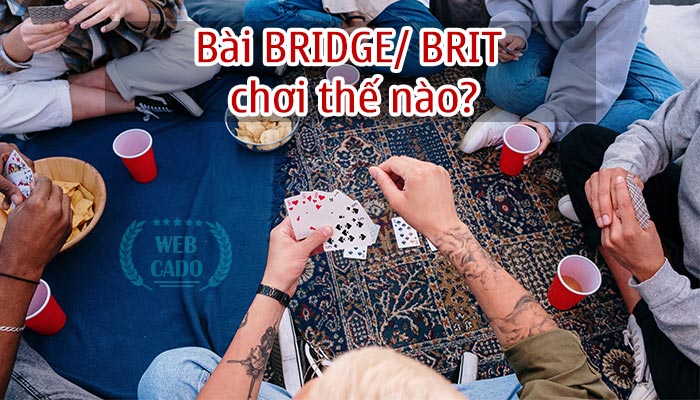 how to play bridge