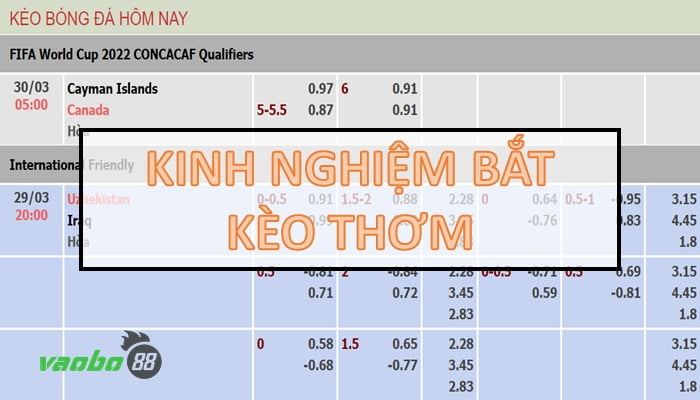 How to choose football odds