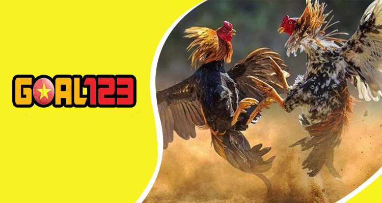 play online cockfighting betting