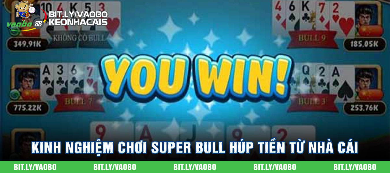 experience playing super bull