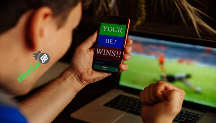 experience in betting on Hong Kong odds