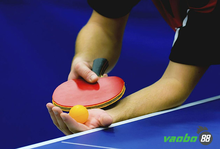 Table tennis playing rules