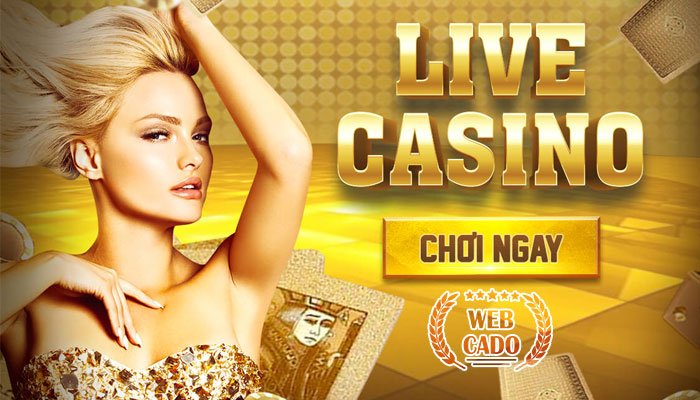 which live casino provider is the best